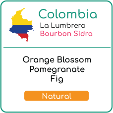 Colombia La Lumbrera Bourbon Sidra Natural