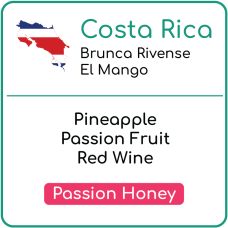 Costa Rica Brunca Rivense El Mango