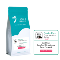 Costa Rica Canet Musician Series - Haydn