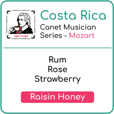 Costa Rica Canet Musician Series - Mozart