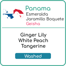 Panama Hacienda La Esmeralda Jaramillo Geisha