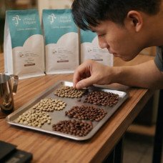 SCA Roasting Foundation