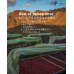 Best of Yemen 2026 頂級競標批次品嚐會 Best of Yemen 2026 頂級競標批次品嚐會