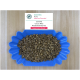Colombia Huila Sugarcane Decafe [Green Bean]