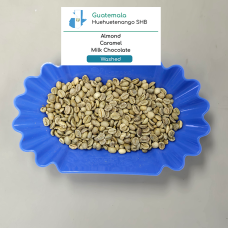 Guatemala Huehuetenango SHB EP [Green Bean]