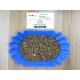 Indonesia Sumatra Mandheling G1 Wet Hulled [Green Bean]