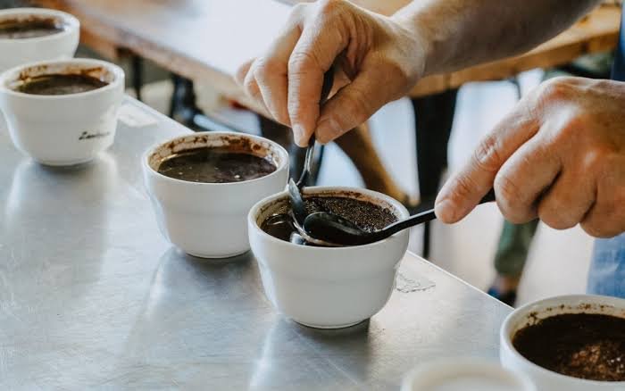 Q-Grader Coffee Grading & Quality Evaluation