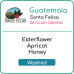 Guatemala Santa Felisa African Gesha Washed