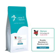 Kenya Kirinyaga KII SL28, SL34 Washed