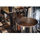 SCA Roasting Foundation and Intermediate