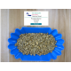 El Salvador Bourbon Washed [Green Bean]